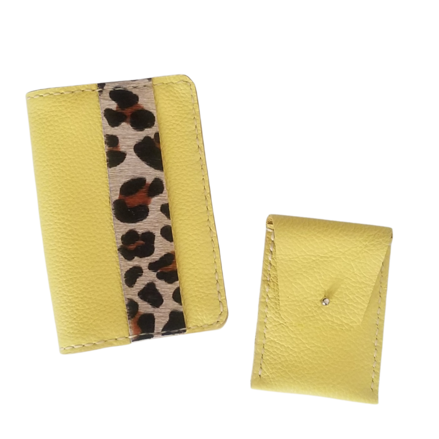 Passport Case